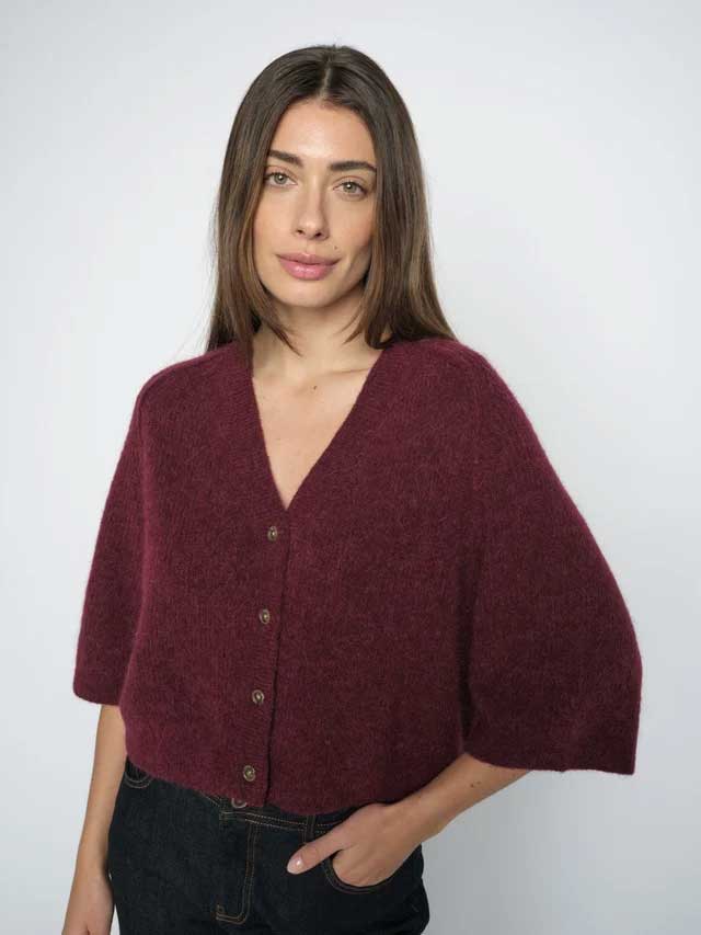 LIZNET-2.jpg